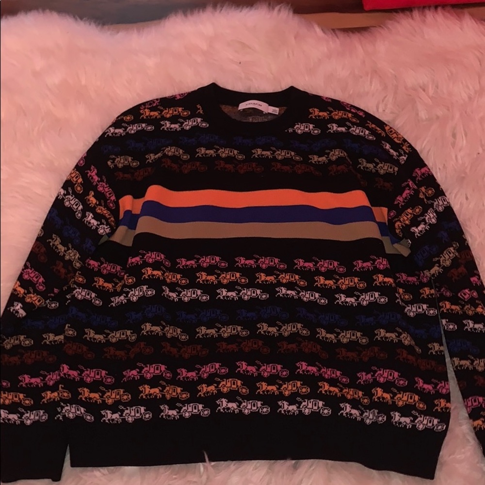 COACH sweater